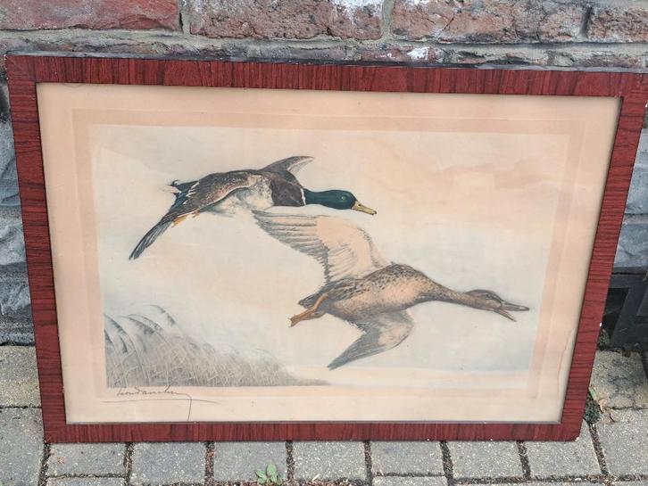 gravure signe leon danchin, Antiek en Kunst, Kunst | Etsen en Gravures, Ophalen of Verzenden