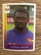 Anthony OBODAI (Germinal) Football Belgique 2003 nº145., Collections, Enlèvement ou Envoi, Neuf, Cartes de joueur