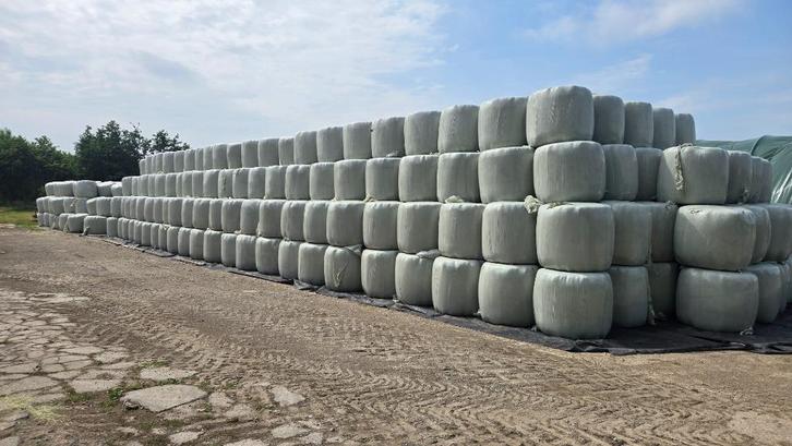 Midibalen voordrooghooi topkwaliteit!, Dieren en Toebehoren, Stalling en Weidegang, Accessoires