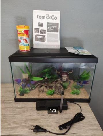 aquarium 20L (neuf) complet +filtre + tt les accessoires beschikbaar voor biedingen