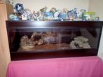 Terrarium, Ophalen, Zo goed als nieuw, Terrarium of Paludarium