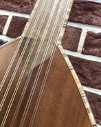 Oud. Luit. Ud. Lute. Luth, Muziek en Instrumenten, Snaarinstrumenten | Overige, Ophalen of Verzenden, Nieuw