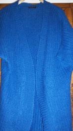 Fragile (Essentiel) Cardigan kid mohair maat L Nieuwstaat, Ophalen of Verzenden, Maat 42/44 (L), Blauw