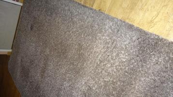 Shaggy tapijt beschikbaar voor biedingen