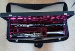 Wurlitzer basklarinet lage C, Muziek en Instrumenten, Blaasinstrumenten | Klarinetten, Ophalen, Gebruikt, Overige typen, Met koffer
