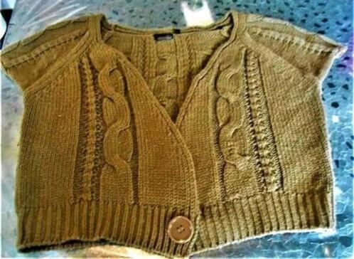 Klein vest voor dames, kleur: donker kaki, Kleding | Dames, Truien en Vesten, Zo goed als nieuw, Maat 42/44 (L), Bruin, Ophalen of Verzenden