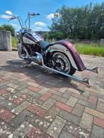 Prachtige Harley davison chicano, Particulier