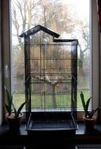 Belle grande cage noire, Animaux & Accessoires, Enlèvement, Comme neuf