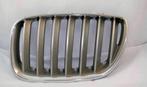 Grille nier BMW X5 E53 links oe 51137124815 org Nieuw BMW, Auto-onderdelen, Nieuw, Ophalen of Verzenden, Bumper, BMW