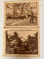 2 photos anciennes (Congo), Collections, Photo, Avant 1940, Utilisé, Envoi