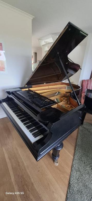 Bechstein vleugel model C bj 1898, Musique & Instruments, Pianos, Brillant, Enlèvement, Utilisé, À queue