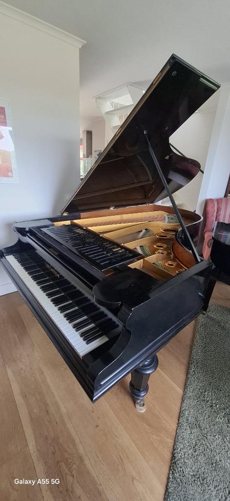 Bechstein vleugel model C bj 1920, Muziek en Instrumenten, Piano's, Gebruikt, Vleugel, Zwart, Ophalen