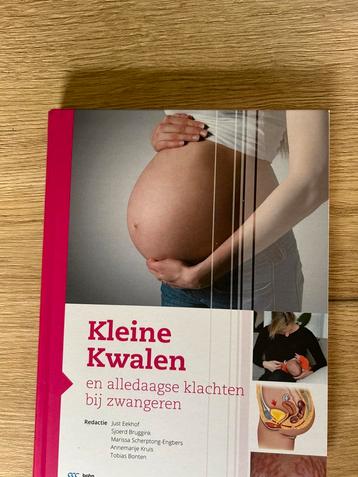 Kleine Kwalen en alledaagse klachten bij zwangeren beschikbaar voor biedingen