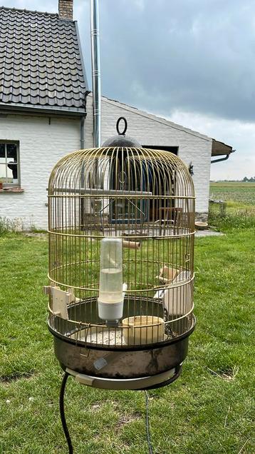 Vogelkooi beschikbaar voor biedingen