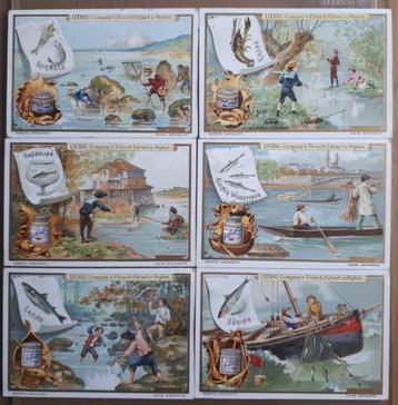 LIEBIG : Compl.set; FISCHFANG II S 599 Germ.ed. 1899 beschikbaar voor biedingen