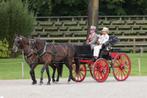 Calèche Van Rijs  authentique et deux voitures, Comme neuf