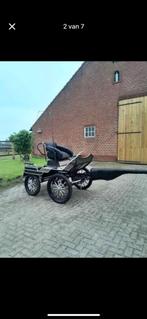 Koets, Dieren en Toebehoren, Rijtuigen en Koetsen, Paard
