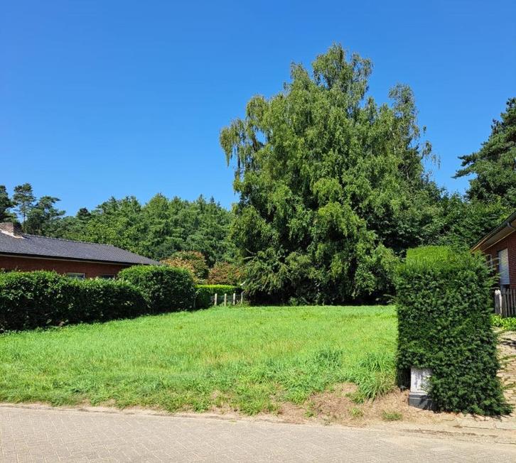 Unieke bouwgrond voor open bebouwing te Grobbendonk, Immo, Gronden en Bouwgronden
