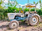 Tractor Lamborghini, Articles professionnels, Agriculture | Tracteurs, Enlèvement ou Envoi