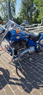 Harley Rocker C, Particulier