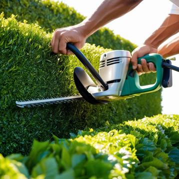Strakke Heg, Mooie Tuin – Heggen Snoeien met Zorg! beschikbaar voor biedingen