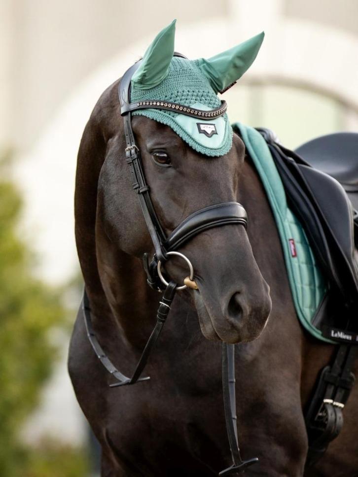 LeMieux Loire Oornetje Sage full, Dieren en Toebehoren, Paarden en Pony's | Hoofdstellen en Tuigage, Nieuw, Dressuur, Ophalen of Verzenden