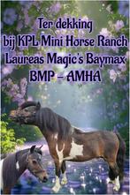 Beperkt ter dekking in 2026 ., Meerdere dieren