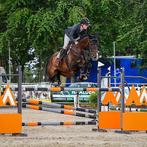 6 jarig springpaard MARKO VAN SPIEVELD (ARKO III) X CORYDON, Dieren en Toebehoren, Ruin, L, Springpaard