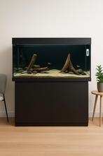 Juwel Rio 350 aquarium met Helialux en SmartController, Ophalen of Verzenden, Zo goed als nieuw, Leeg aquarium