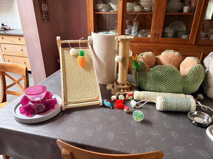Mooi pakket kattenspullen, Dieren en Toebehoren, Katten-accessoires, Ophalen