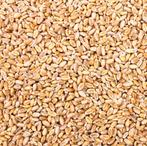 Grains pour volaille, Dieren en Toebehoren, Dierenvoeding, Ophalen, Pluimvee