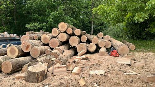 Bois de chaffage, Frene sec ! 40-50 steres., Tuin en Terras, Brandhout, Stammen, Essenhout, 6 m³ of meer, Ophalen of Verzenden
