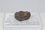 NWA 869 chondrietmeteoriet/Sahara (6,36 g), Ophalen of Verzenden, Mineraal