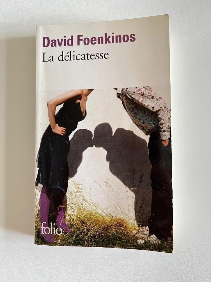 Livre La délicatesse de David Foenkinos, Boeken, Romans, Gelezen, Europa overig, Ophalen of Verzenden