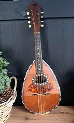 Mandoline Francesco Testori, Muziek en Instrumenten, Ophalen