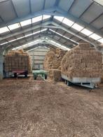 foin et paille en petites balles, Animaux & Accessoires, Enlèvement ou Envoi
