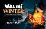 ‼️ PROMO ‼️ 2 billets électroniques WALIBI WINTER 25/pièce