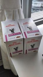 Kat: Royal Canin Renal with fish (2*12), Ophalen, Kat