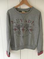 Grijze sweater, Kleding | Dames, Ophalen of Verzenden, Zo goed als nieuw, Maat 36 (S), America Today