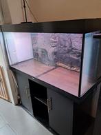 Aquarium 350 litres, avec armoire, Enlèvement, Comme neuf