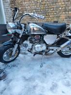 125cc moto Monkey RUILEN!!, Zhenhua, Sportuitlaat, Particulier, Overig