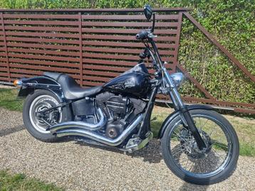 harley davidson softail beschikbaar voor biedingen