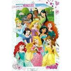 Disney Princess Maxi Poster, Nieuw, Ophalen of Verzenden, Wanddecoratie