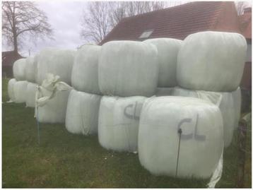 Grote balen voordroog te koop beschikbaar voor biedingen