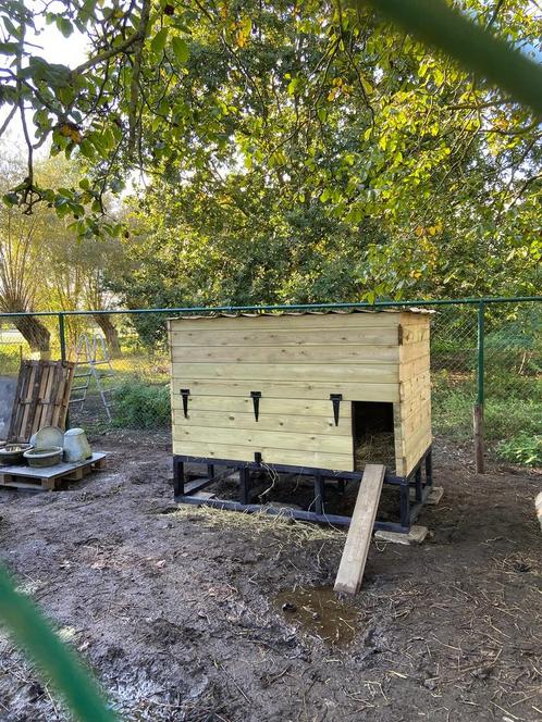 Kippenhok, kippenren, op maat, Dieren en Toebehoren, Pluimvee | Toebehoren, Nieuw, Kippenhok of Kippenren, Ophalen