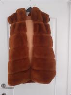 Bruine bodywarmer met kap maat L, Kleding | Dames, Bodywarmers, Ophalen of Verzenden, Zo goed als nieuw, Maat 42/44 (L)
