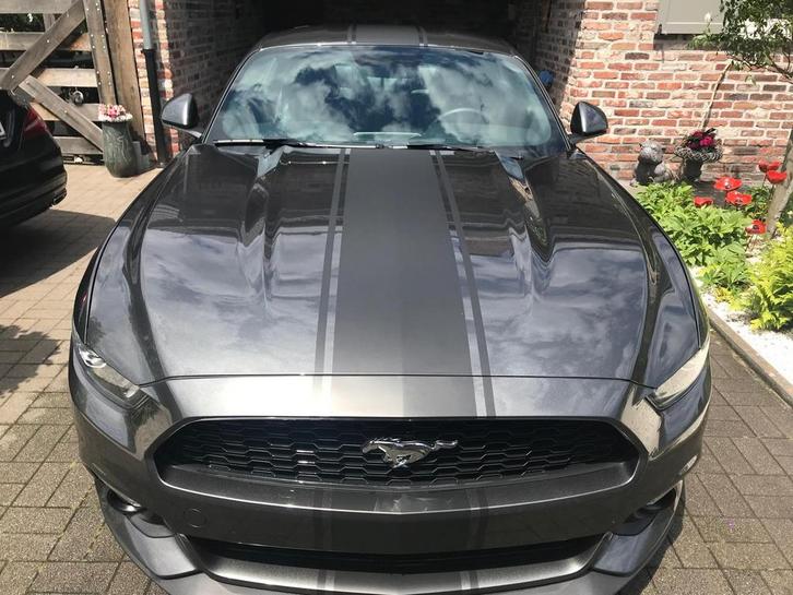 Mustang Fastback 2.3 ecoboost, Auto's, Ford, Particulier, Mustang, Achteruitrijcamera, Benzine, Euro 6, Coupé, 3 deurs, Automaat