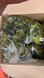 5 dozen decoratief mos voor hobbyist, Ophalen, Zo goed als nieuw