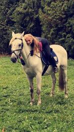 Spaans recreatiepaardje te koop, Dieren en Toebehoren, Minder dan 160 cm, B, Ruin, Gechipt