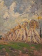 Schilderij M.VAN DEN BEMPT 50x40  "Het hooi", Antiek en Kunst, Ophalen of Verzenden